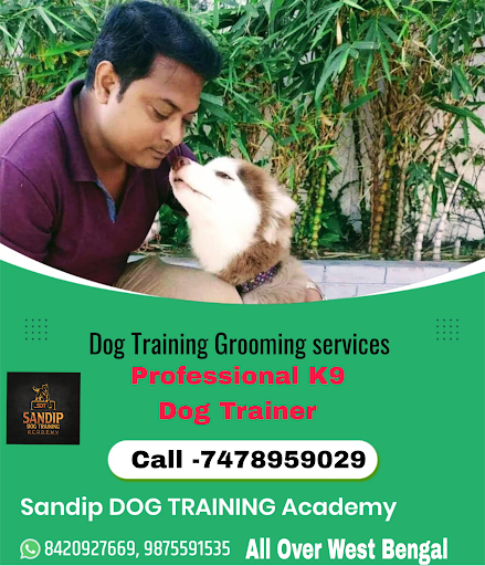 Transform Your Furry Friend's Behavior! Get expert DOG Training at Sandip DOG Training Academy in… post image