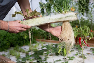 Photo n°18 de FADA - Ferme Aquaponique de l'Abbaye à Saint-Victor-l'Abbaye (Maraîcher)