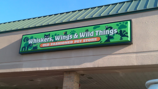 Whiskers Wings And Wild Things