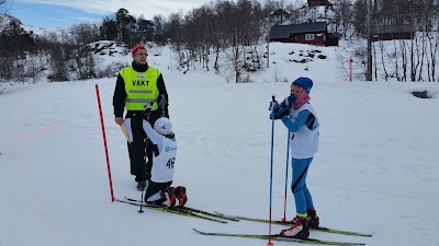 Photos of Gullingen leirskule