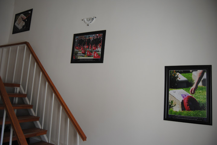 Anzac House Youth Hostel by null