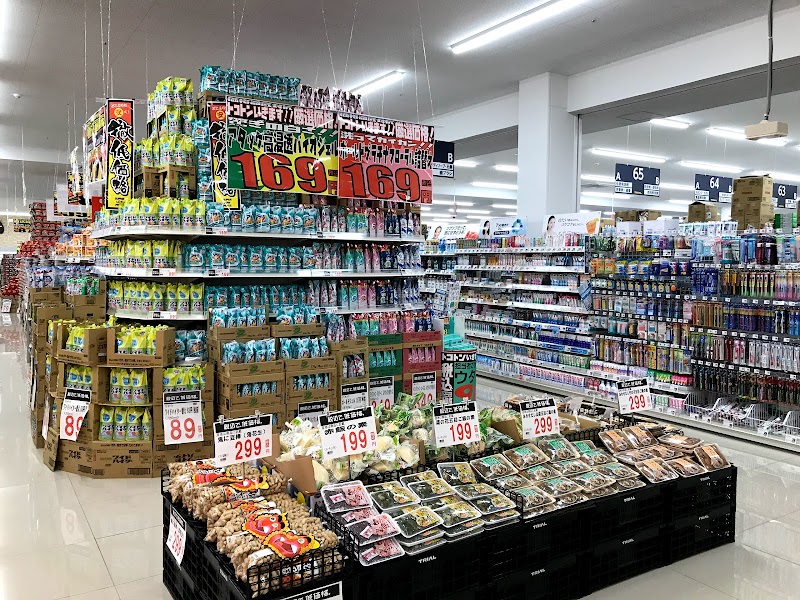 大分 県 トライアル