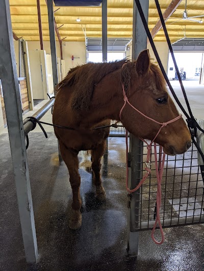 Brazos Valley Equine Hospitals