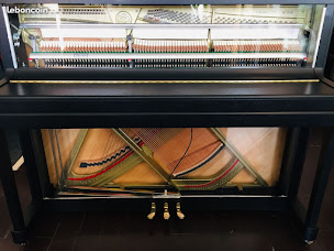 Photo n°9 de LA MI du PIANO à Portet-sur-Garonne (Service d'accordage de pianos)
