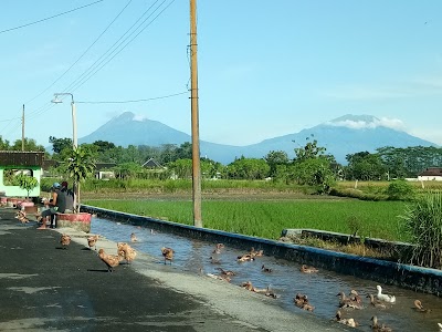Photos of Bendungan Njaen