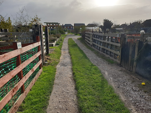 Shepherd Road Allotments - Thumbnail