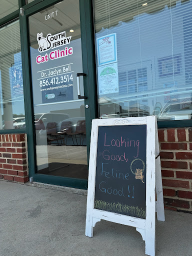 South Jersey Cat Clinic Gallery - United States