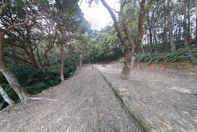 Photos of 白富田營地