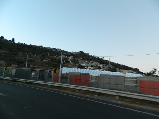 Primaria Pipila - Thumbnail