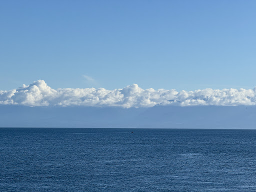 Harling Point - Thumbnail