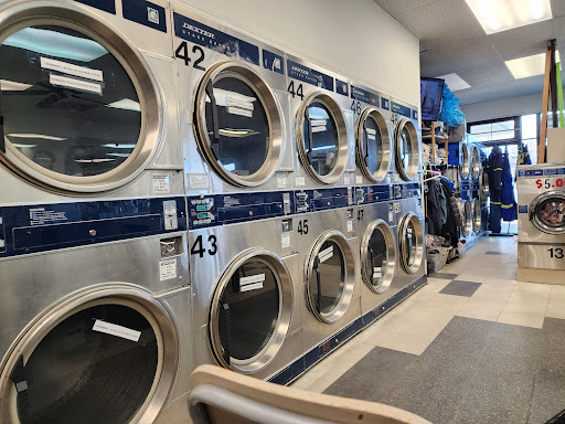 Carmel's Laundry - Visual