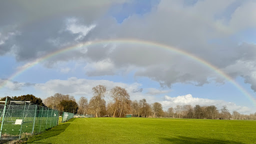 Windsor Rugby Football Club - Thumbnail