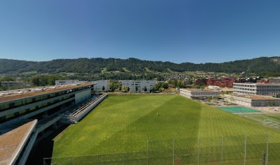 Zurich International School, Upper School