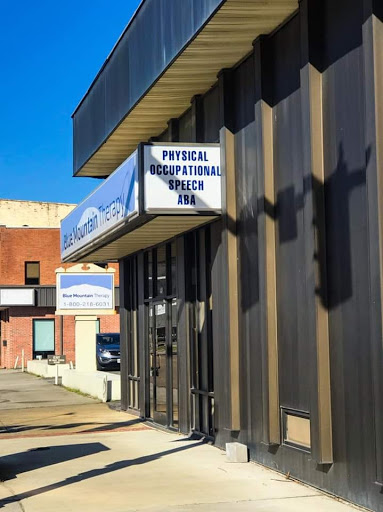 Blue Mountain Therapy, LLC - Thumbnail