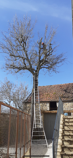 Photo de Ledy.J paysagiste entretien des espaces verts