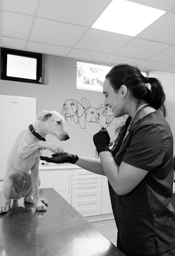 Clínica Veterinaria Por ellos