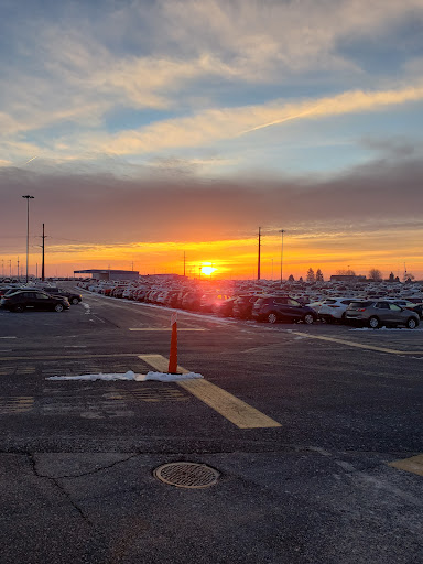 Manheim Auto Action Gallery - United States