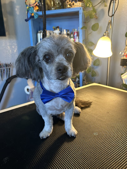 Tickled pink dog and cat grooming