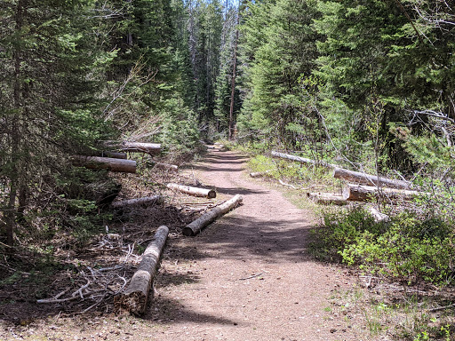 Moose Creek Trailhead - Thumbnail