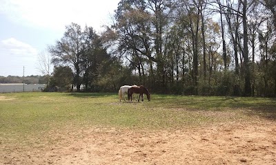 Schillinger Road Heart of Dixie Veterinary Clinic