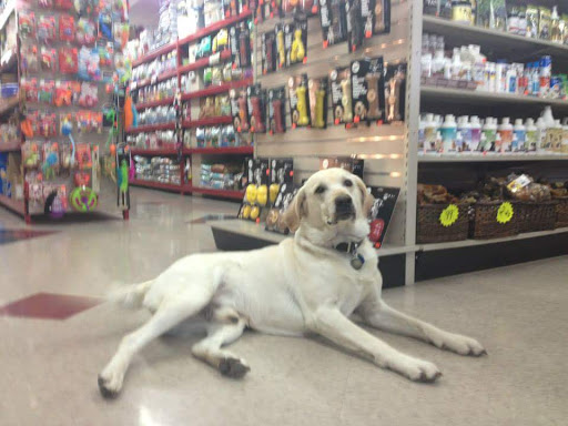 Global Pet Foods Stratford - Thumbnail