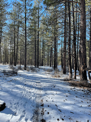 Phil's Trailhead - Visual