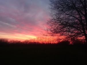 Photo n°10 de Poney Club Pirouette à Les Repôts (Centre équestre)