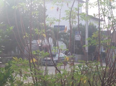 Photos of Bank BRI Tewah
