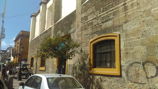 Luis Silva Institute - Thumbnail