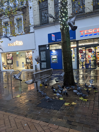 Pandora Croydon