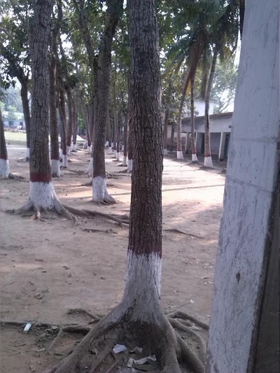 Photos of Jhalam School and College