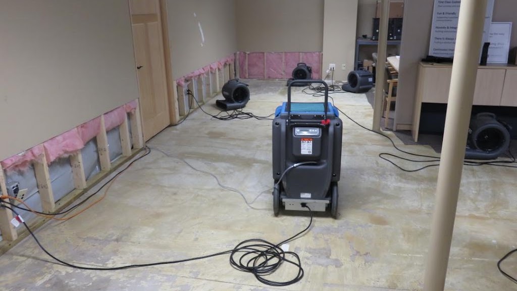 Service Restoration photo