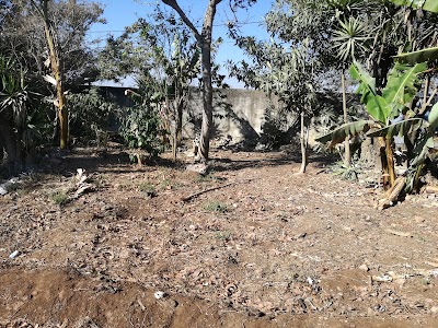 Photos of Parque de los mixcos