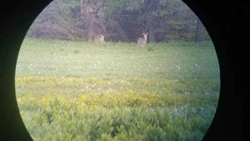 Musselshell Meadows - Visual