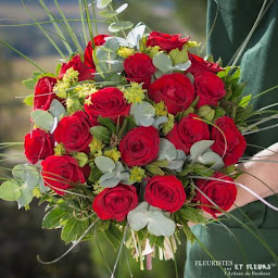 Photo n°21 de Fleuriste, Graineterie, Inna Richard à Chalais (Jardinerie)