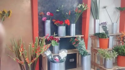 Photos of FLORISTERIA AMISTAD