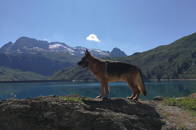 Visit Lago Di Morasco On Your Trip To Formazza Or Italy Inspirock