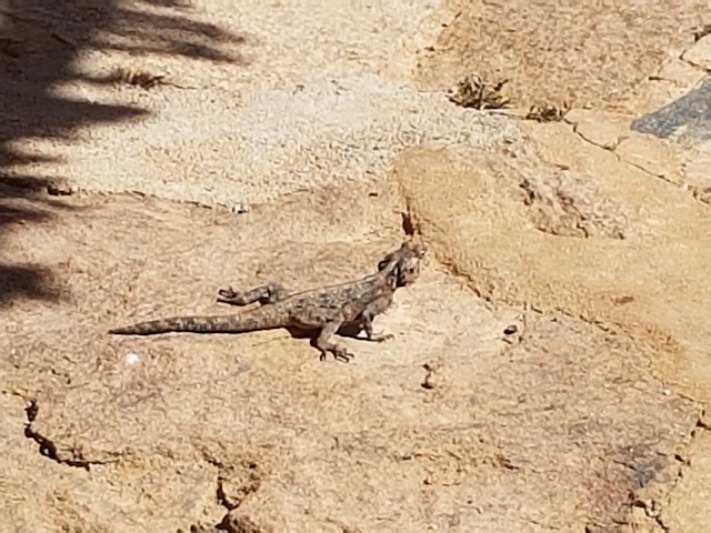 Parc national Namaqua