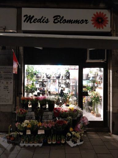 Medis Blommor - Thumbnail