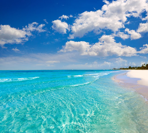 Envious Luxury Travel Agency - United States