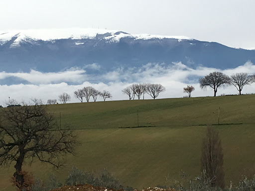 Tenuta Mondi i Colli - Thumbnail