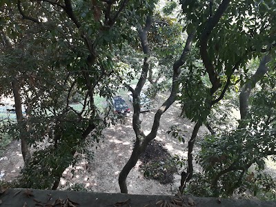 Photos of Litchi Garden