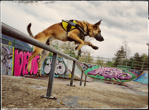 Parque Skate - Visual