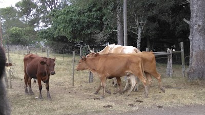 Photos of Kikuyu Lodge Game Reserve