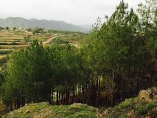 Shimla Pahari Park Abbottabad