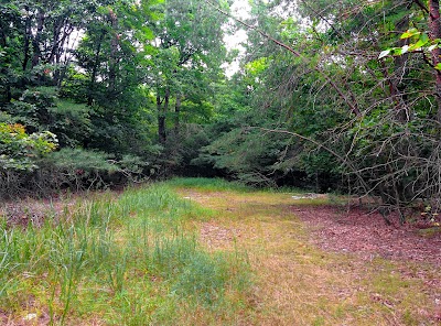 Smith Lake Park