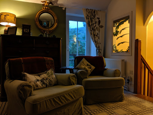 Coed Cae - Visual