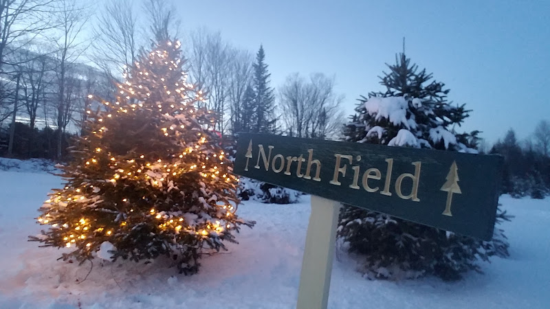 Quinn's Tree Farm