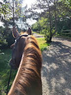 Haras Dell'Alba à Saint-Éliph