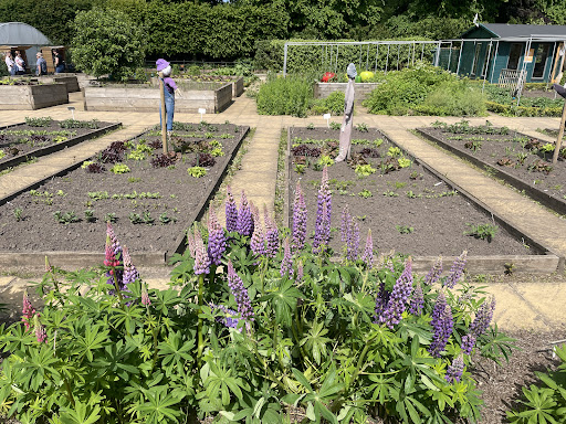 The Alnwick Garden Plant Centre and Nursery - Thumbnail